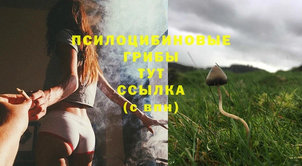 соль ск Верхний Тагил