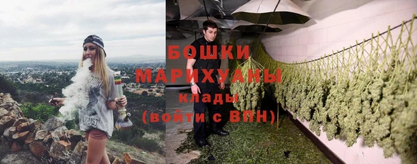 соль ск Верхний Тагил